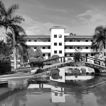 HOTEL VERGEL HUASTECO